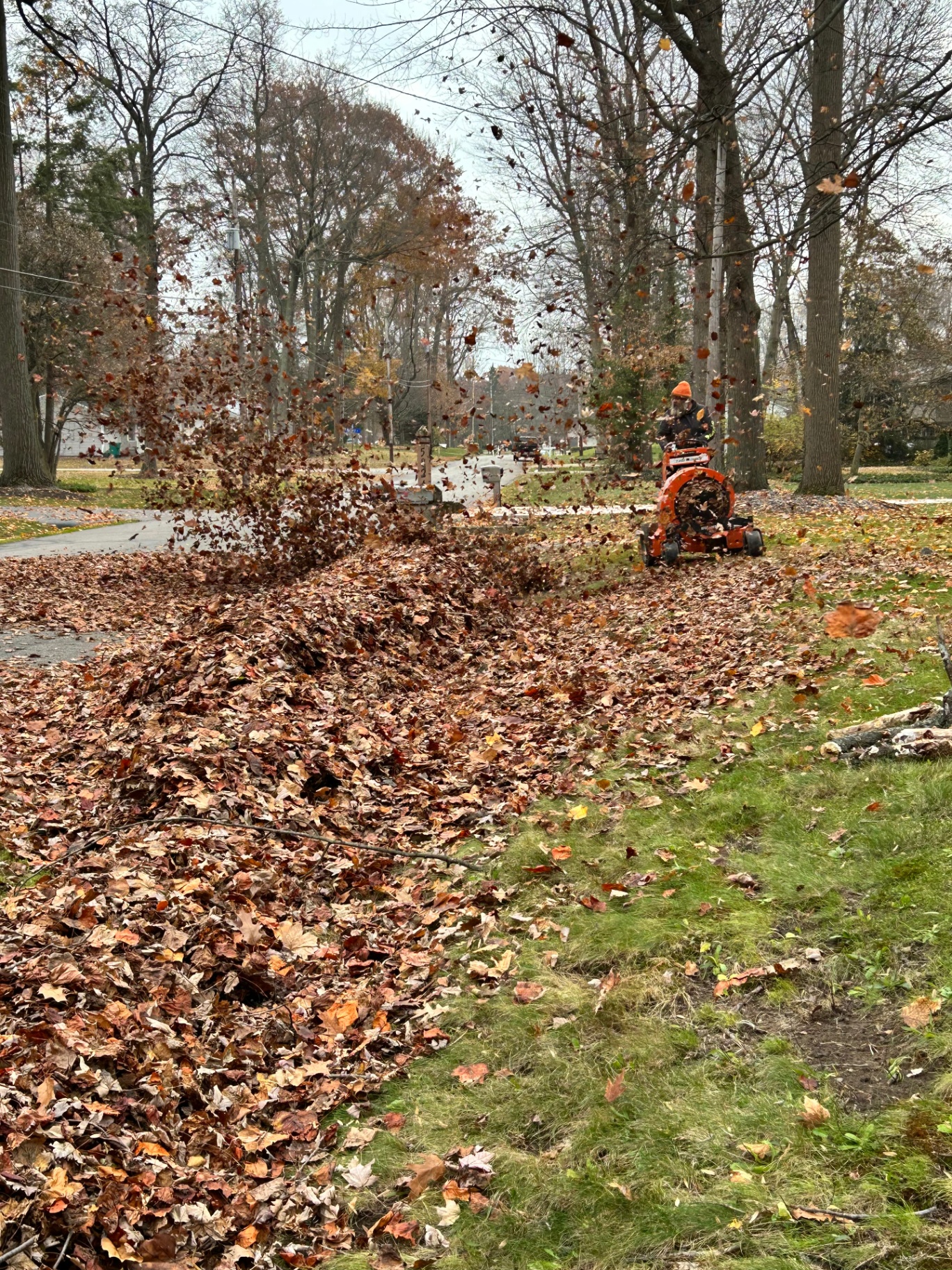 Stand-on leaf blower clearing a yard of fall leaves