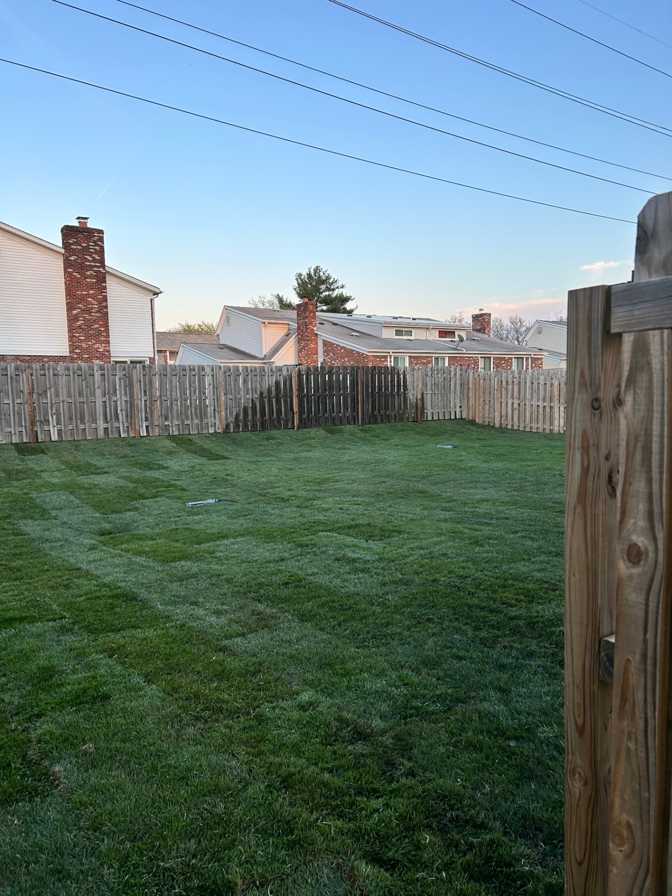 Lush manicured backyard lawn with privacy fence in Eastlake, Ohio