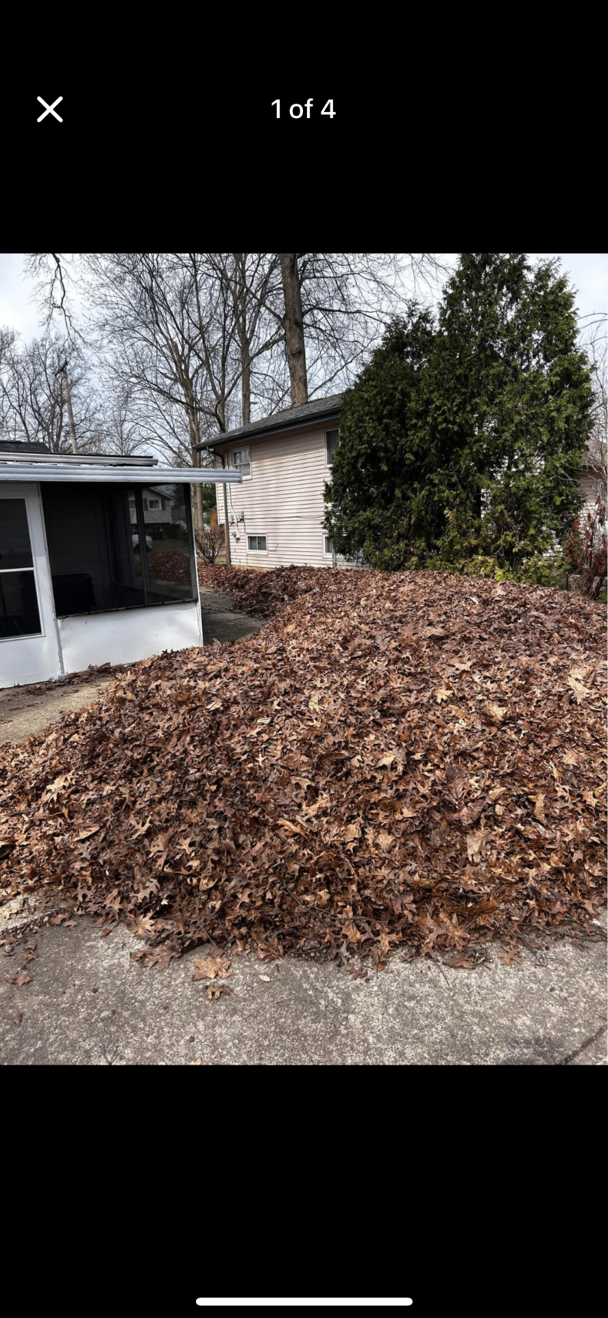 Massive pile of leaves cleared from a residential property