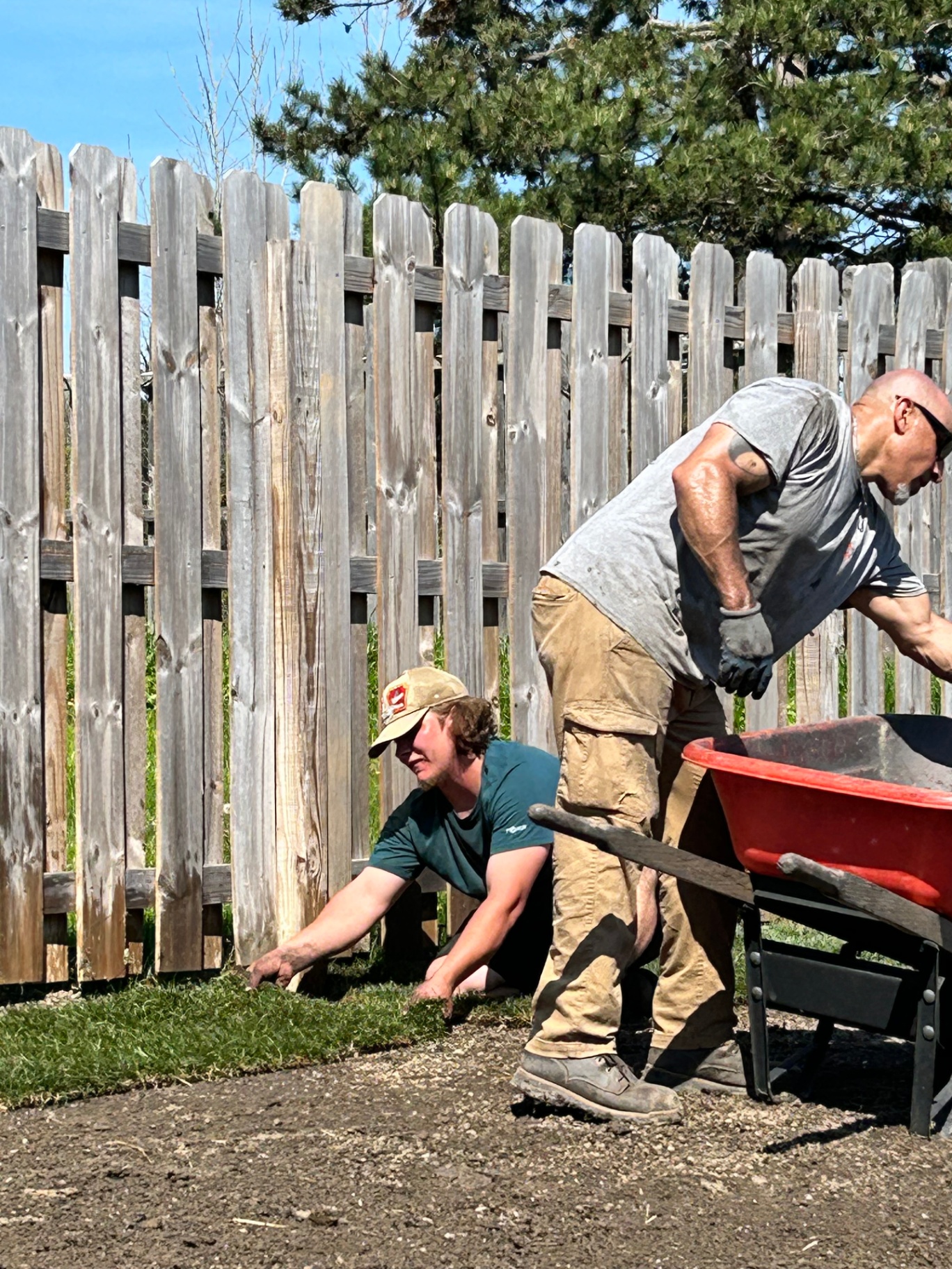 Domonic's crew laying fresh sod along a backyard fence line